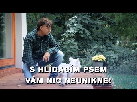 Video: Jaké jsou výhody) použití srovnávací matice?