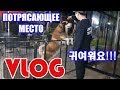 VLOG 10/21 КОГО МЫ ВСТРЕТИЛИ В КАФЕ? МОЁ УТРО И ПОХОД НА РЫНОК