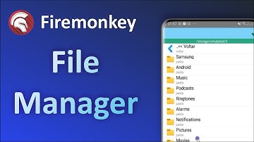 Simples Gerenciador de Arquivos Com Delphi Firemonkey