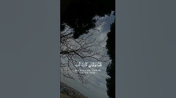 🌷 سورة🌷 المائدة🌷القارئ🌷 محمد 🌷الغزالي🌷