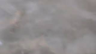 Menanti untuk berpisah