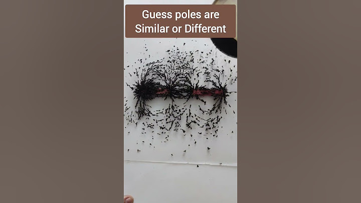 Guess The Poles Are same or different | Magnetic effect of Current | Class 10 Science