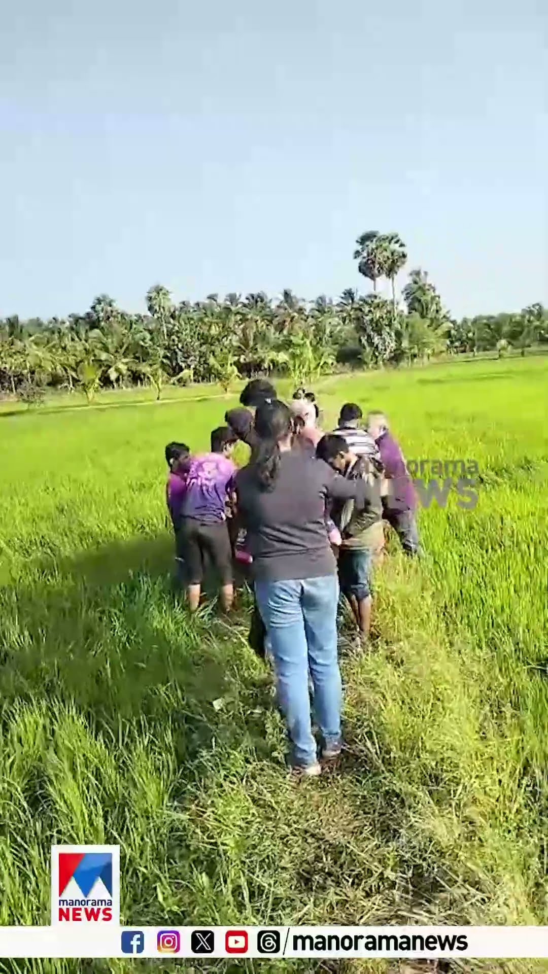 പൊള്ളാച്ചിയില്‍ നിന്നും പറന്നുയര്‍ന്ന യാത്രാ ബലൂണ്‍ വീണ്ടും പാലക്കാടന്‍ നെല്‍പ്പാടത്തിറക്കി | Baloon