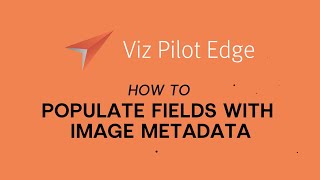 Viz Minute: Autopopulate templates with Image Metadata