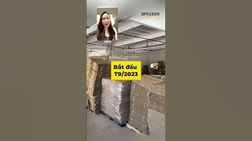 Ai là người r.ủ. chị vào con đường kinh doanh Amazon này?