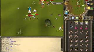 Runescape Private Server Pking! Reckless PK