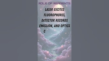 Fluorescence Correlation Spectroscopy (FCS)