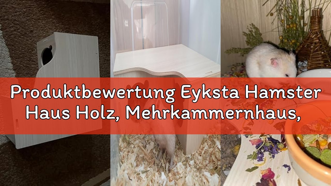 Produktbewertung Eyksta Hamster Haus Holz, Mehrkammernhaus, Spielplatz, Haus für Zwerghamster, Rennm