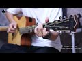 ไถ่เธอคืนมา  - พงษ์สิทธิ์ คำภีร์ Percussive Fingerstyle Guitar By Den Finger