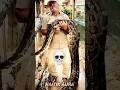 Big Snake Version ☠️ Part 2 #shorts #ytshorts