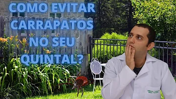 Qual o melhor remédio para matar carrapatos no quintal?