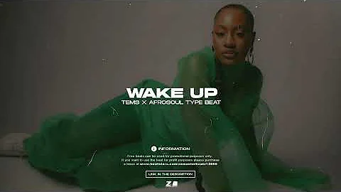 Wake Up - Tems X Afrosoul Type Beat 2023