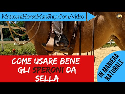 Video: Strumenti di addestramento del cavallo - speroni