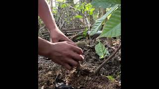 VLOG#1      NSTP-CWTS Project