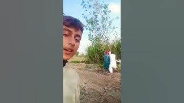 tree cutting skills in anticipation of a falling tree disaster#treecutting #shortviral #subscribe