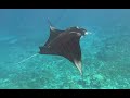 Palau Snorkeling - Palau z maską i rurką