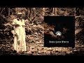 Capture de la vidéo Emily Jane White - Victorian America [Full Album]