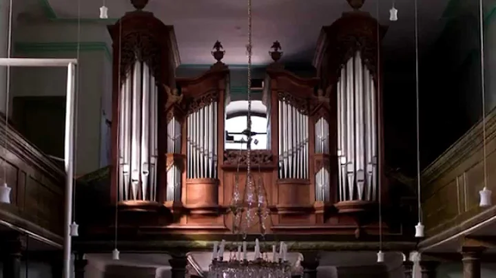 The Petrus & Carl Schneider Organ (1843) from Seleu