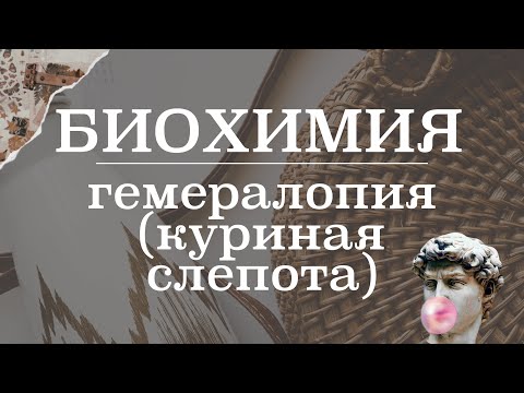 Куриная слепота (гемералопия, никталопия) | Биохимия