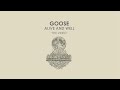 Goose - Alive and Well 'The Video'