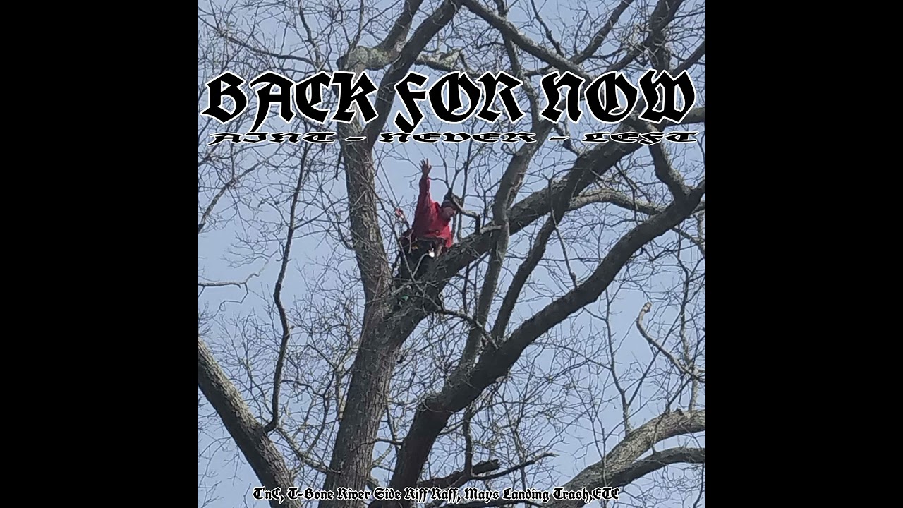 Watch Im Back | T'nC on YouTube Watch Im Back | T'nC on YouTube