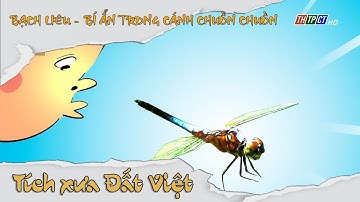 Bạch Liêu – Bí ẩn trong cánh chuồn chuồn | THTPCT