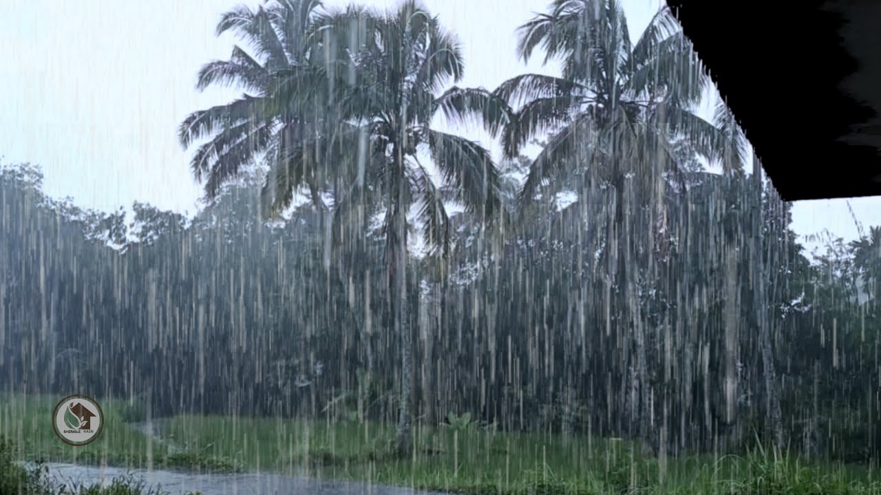 Чистая деревенская атмосфера дождя 🌧️ Сильный тропический дождь на старой крыше (естественная запись