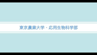 応用生物科学部：本間 和宏 学部長