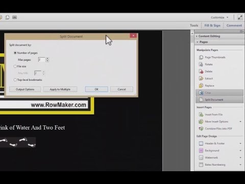 Adobe Acrobat Pages