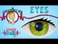 Science for kids  body parts  eyes  experiments for kids  operation ouch