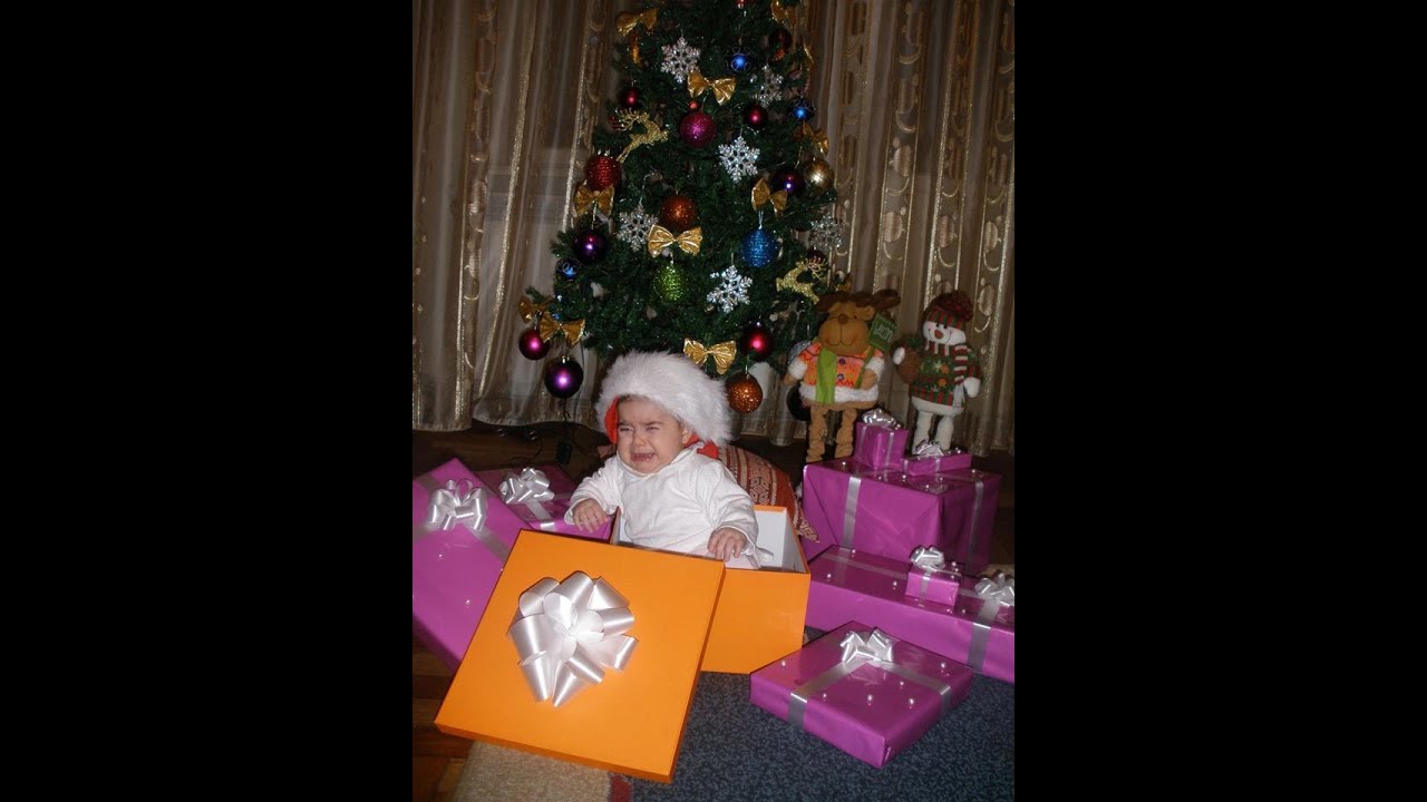 Ճշմարտության մասին՝ էշ քշելով