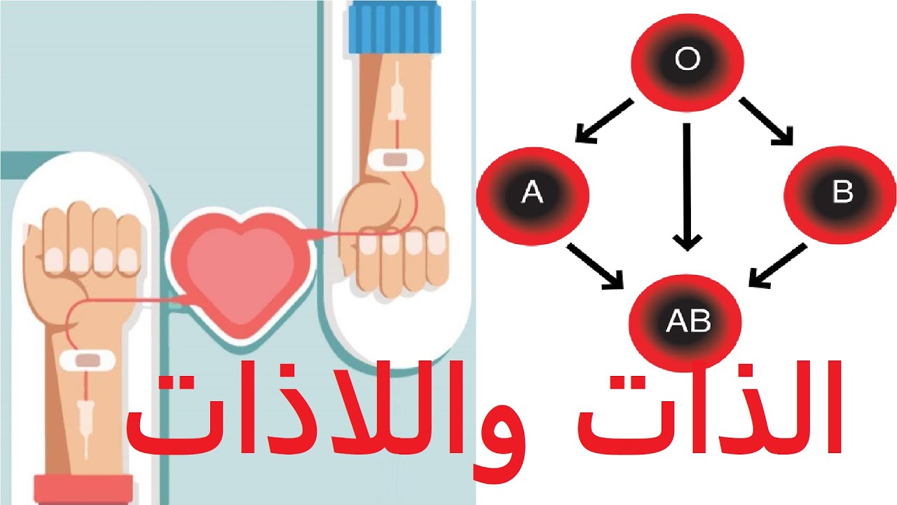 الإستجابة المناعية - النشاط الرابع: الذات واللاذات