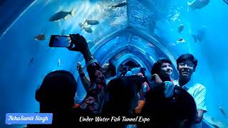 उततर भरत क सबस बड Under Water Fish Tunnel Expo