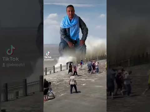 رجع الاسد للغابة