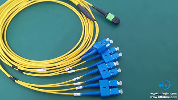 MPO-SC Singlemode Breakout Cables