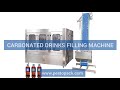 Automatic carbonated drinks filling machine pet bottle soft drink washing filling capping machine