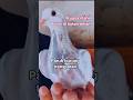 paruh burung transparan #kuasamu #misteri #viral #shorts #animals #birds #merpati