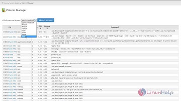 How to check system health through WHM/cPanel