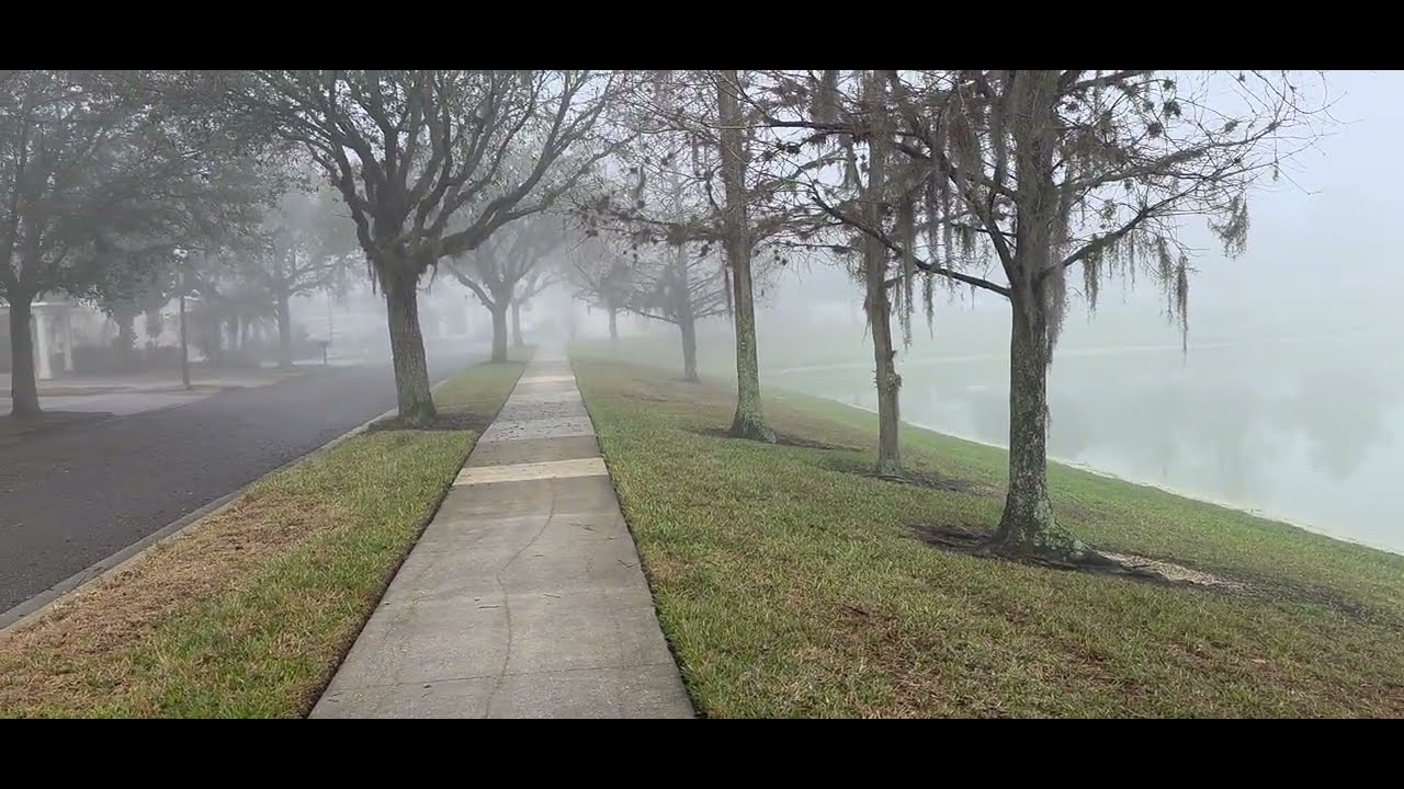 A Foggy Lake to Begin My Day