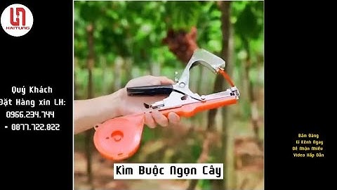 Kìm Buộc Chanh Leo, Kìm Buộc Ngọn Cây, Máy Buộc Cành, Tapetool, 0966 234 744