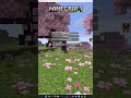 How To XRay in Minecraft Java Edition
