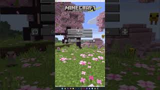 How To XRay in Minecraft Java Edition