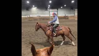 Barrel racing video with some quick tips, preparing your horse for the weekend