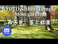 VR180  京都観光 西芳寺 紅葉の苔庭/Saiho-ji Temple/Moss garden/Autumn leaves/KYOTO Japan