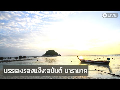 บรรเลงรองแง็ง LIVE อนันต์ มารามาศ