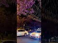 شارع الفن ابها