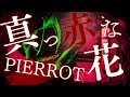 真っ赤な花 / PIERROT ギター弾いてみた