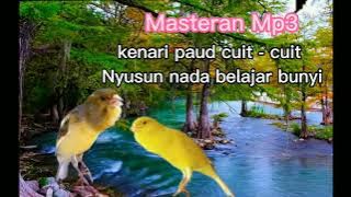 suara materan mp3 kenari bahan cocok untuk semua paud belajar bunyi