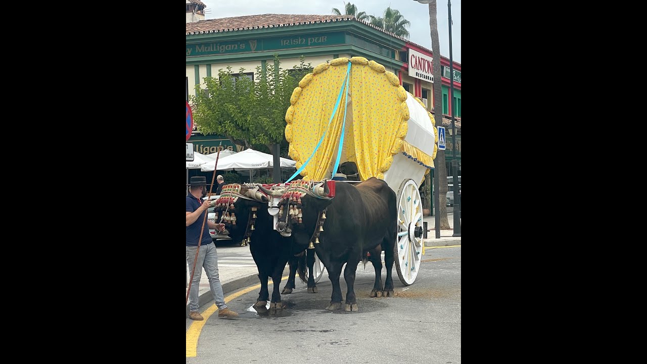 La Cala de Mijas Oct 22 YouTube