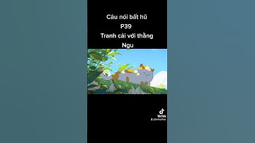 Tranh luận với kẻ ngu tội gấp đôi